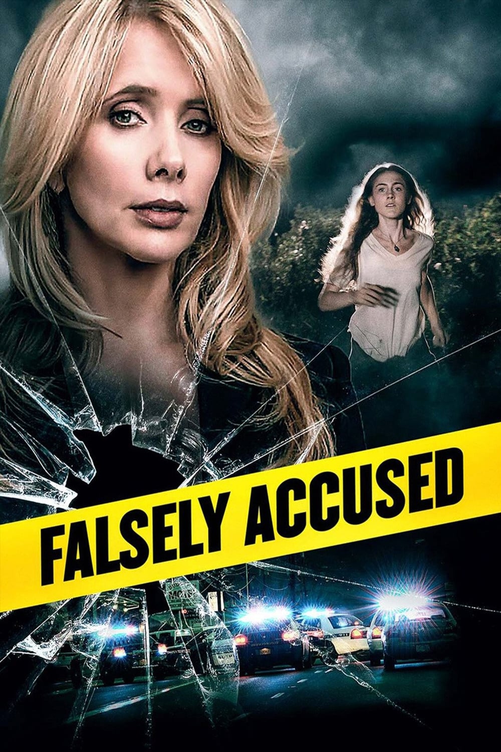 Постер Falsely Accused